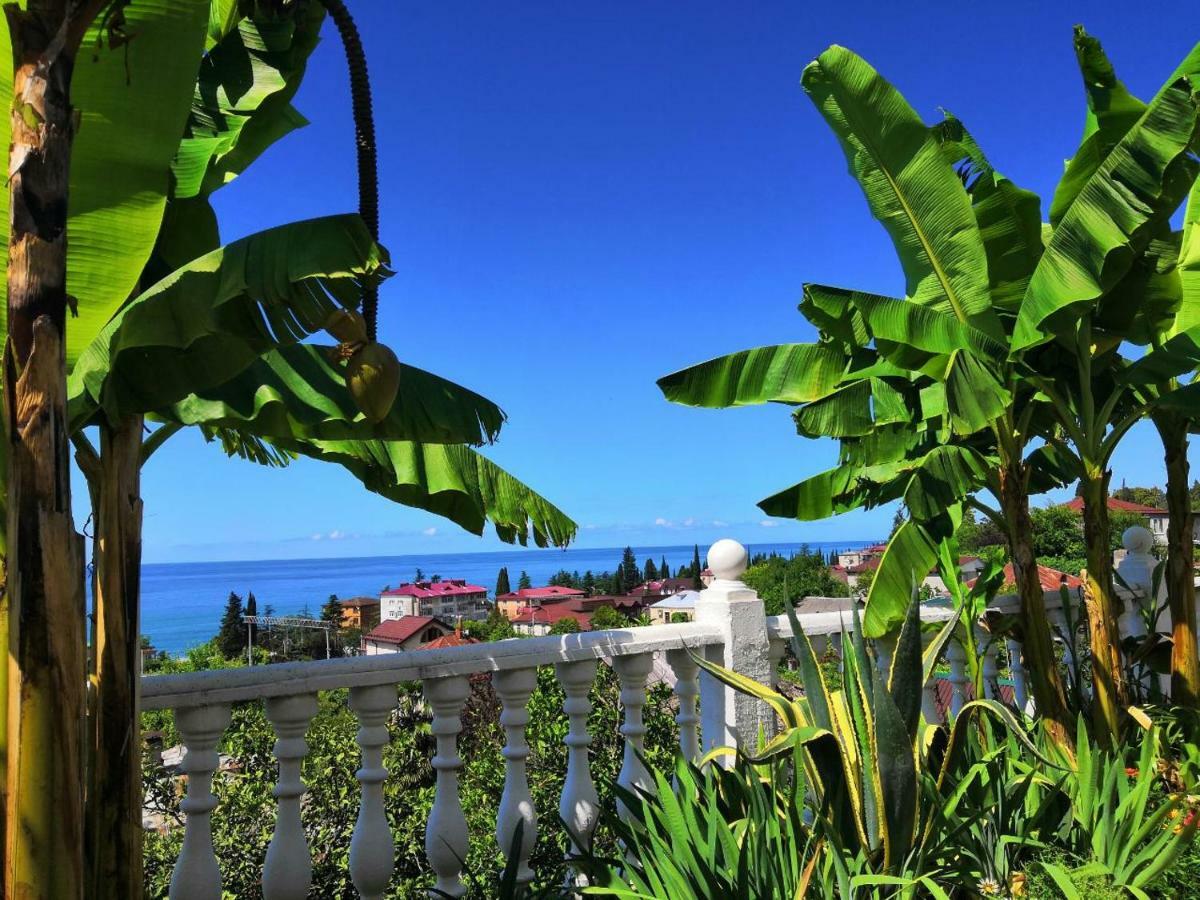 Guest House Amra New Athos Εξωτερικό φωτογραφία
