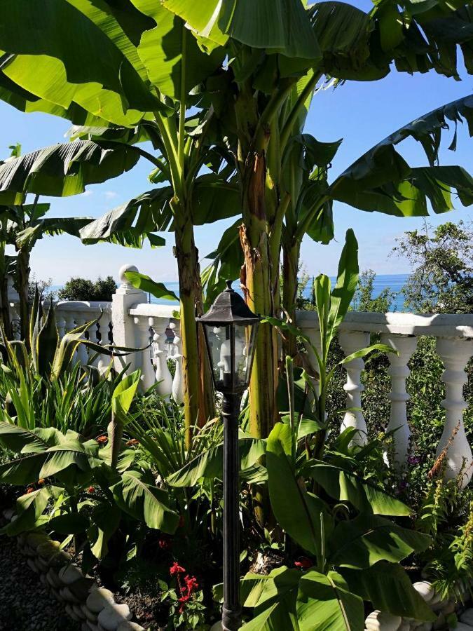 Guest House Amra New Athos Εξωτερικό φωτογραφία